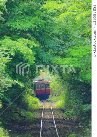 Kominato Railway: Yoro Valley to Kazusa-Okubo Station Kominato Railway: Yoro Valley to Kazusa-Okubo Station 139585852