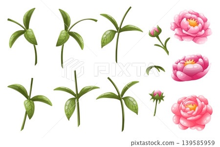Set of pink peony parts Set of pink peony parts 139585959
