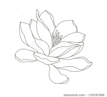 Minimalist magnolia flower line art illustration Minimalist magnolia flower line art illustration 139585986