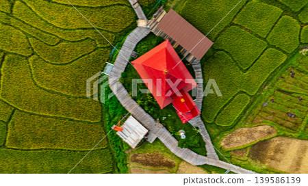 Red Roofed Pavilion at the Heart of a Bamboo Walkway Red Roofed Pavilion at the Heart of a Bamboo Walkway 139586139