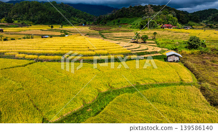 Aerial view of Rice terraces on a steep mountain produce bright yellow ears Aerial view of Rice terraces on a steep mountain produce bright yellow ears 139586140