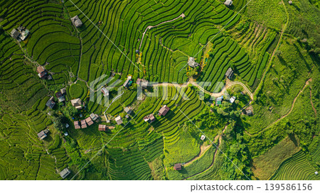 Aerial top view of Rice terraces at Papongpieng Chiang Mai Aerial top view of Rice terraces at Papongpieng Chiang Mai 139586156