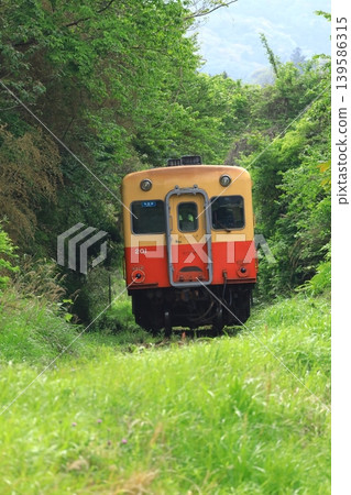 A Kiha train running through a mountainous area on the Kominato Railway. 139586315