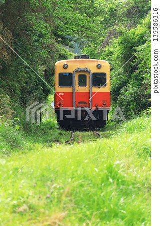 A Kiha train running through a mountainous area on the Kominato Railway. A Kiha train running through a mountainous area on the Kominato Railway. 139586316