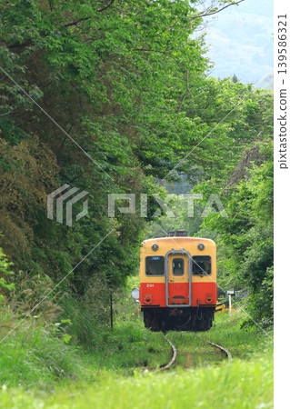 A Kiha train running through a mountainous area on the Kominato Railway. A Kiha train running through a mountainous area on the Kominato Railway. 139586321