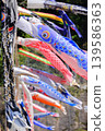 甲府町鯉魚擬餌 8 139586363