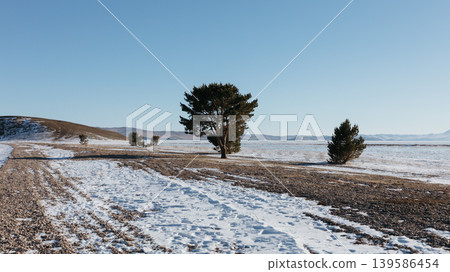 Winter shoreline with lone pine on Lake Baikal, Maloye More, Russia Winter shoreline with lone pine on Lake Baikal, Maloye More, Russia 139586454