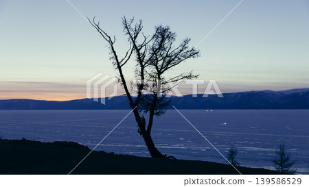 Lone tree silhouette at sunset on Olkhon Island shore of Lake Baikal, Russia 139586529