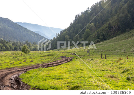 Scenic dirt road to Karakol Lakes through green Altai mountain valley in summer 139586569