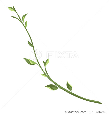 Illustration of branch with leaves. Spring young foliage. 139586782