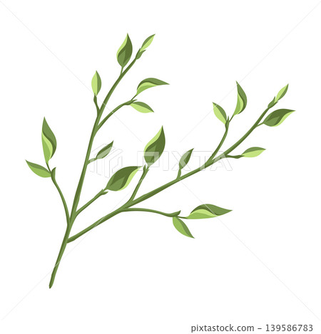 Illustration of branches with leaves. Spring young foliage. Illustration of branches with leaves. Spring young foliage. 139586783
