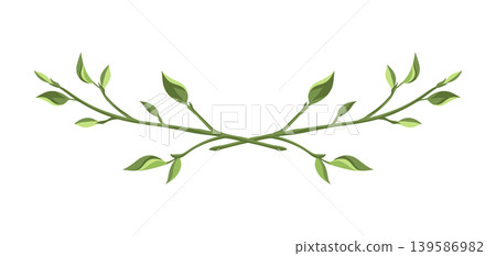 Illustration of branch with leaves. Background of sprigs. Spring young foliage. Illustration of branch with leaves. Background of sprigs. Spring young foliage. 139586982
