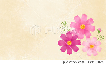 水彩風格的波斯菊，位於米色橫條紋背景上 139587024
