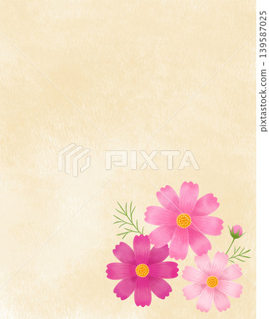 水彩風格的波斯菊，位於米色豎條紋背景上 139587025