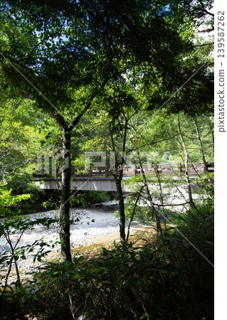 A quiet river in the forest A quiet river in the forest 139587262