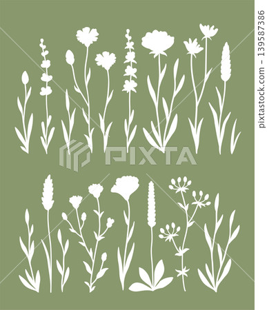 Botanical floral bundle flowers, wildflowers, herb, grasses and plants Botanical floral bundle flowers, wildflowers, herb, grasses and plants 139587386