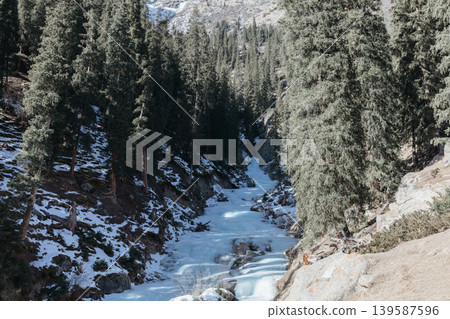 Frozen river and pine forest in Barskoon Gorge near Tears of the Leopard waterfall Frozen river and pine forest in Barskoon Gorge near Tears of the Leopard waterfall 139587596