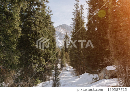 Winter mountain valley trail in Ala Archa National Park with snowy peaks 139587715