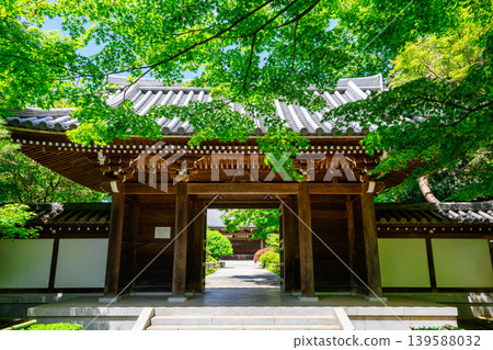 東京都杉併區關泉寺。正門。由今川宇治真創立。曹洞禪宗。東京的歷史遺址。 139588032