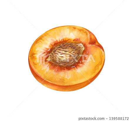 Watercolor illustration of peach halves with a stone, fresh nectarine fruit on an isolated background. For organic food branding, smoothie recipe books, kitchen decor, fruit market signage, and Watercolor illustration of peach halves with a stone, fresh nectarine fruit on an isolated background. For organic food branding, smoothie recipe books, kitchen decor, fruit market signage, and 139588172
