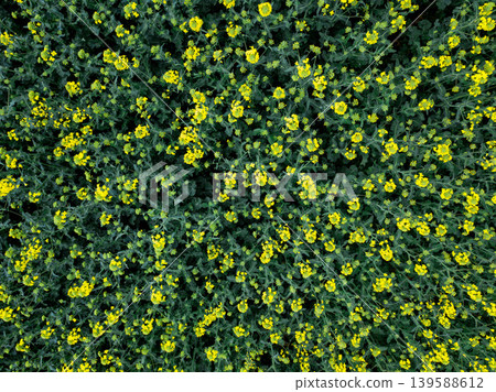 Aerial view of agricultural fields showcasing a patchwork of brown and green textures. The vibrant contrast and patterns highlight crop diversity and farming practices. Aerial view of agricultural fields showcasing a patchwork of brown and green textures. The vibrant contrast and patterns highlight crop diversity and farming practices. 139588612