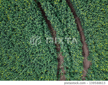 Aerial view of agricultural fields showcasing a patchwork of brown and green textures. The vibrant contrast and patterns highlight crop diversity and farming practices. Aerial view of agricultural fields showcasing a patchwork of brown and green textures. The vibrant contrast and patterns highlight crop diversity and farming practices. 139588613