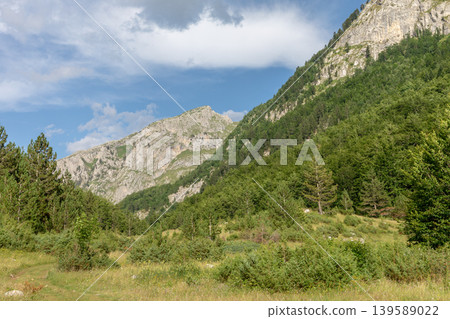 Mountain landscape in Prokletije National Park with forested slopes and cliffs Mountain landscape in Prokletije National Park with forested slopes and cliffs 139589022