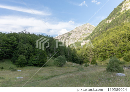 Mountain meadow and forest landscape in Prokletije National Park valley Mountain meadow and forest landscape in Prokletije National Park valley 139589024