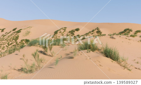 Sandy dunes and sparse desert vegetation at Sarykum dune near Makhachkala Sandy dunes and sparse desert vegetation at Sarykum dune near Makhachkala 139589327