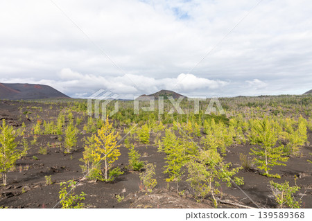 Star Crater volcanic landscape with young forest on black lava, Kamchatka Star Crater volcanic landscape with young forest on black lava, Kamchatka 139589368