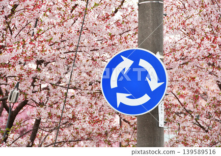 Sign and cherry blossoms at a roundabout in Moroyama town_02 Sign and cherry blossoms at a roundabout in Moroyama town_02 139589516