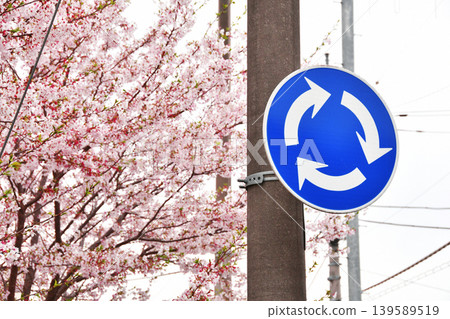Sign and cherry blossoms at a roundabout in Moroyama town_05 Sign and cherry blossoms at a roundabout in Moroyama town_05 139589519