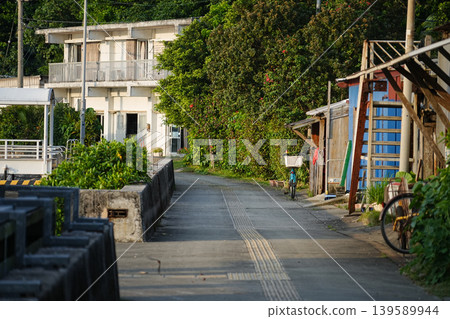 Okinawa Prefecture, Iriomote Island, Funauki 139589944