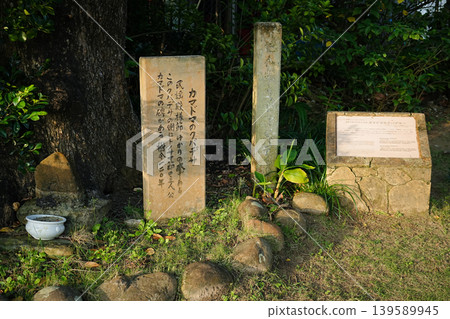 沖繩縣、西表島、船木、Kamadoma no Kubadesa 沖繩縣、西表島、船木、Kamadoma no Kubadesa 139589945