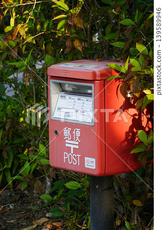 Okinawa Prefecture, Iriomote Island, Funauki Okinawa Prefecture, Iriomote Island, Funauki 139589946