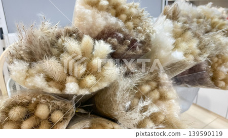 Bouquets of fluffy dried lagurus ovatus bunny tail grass in transparent packaging for interior decor 139590119