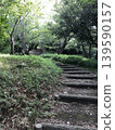 Forest stairs and walking trails 139590157