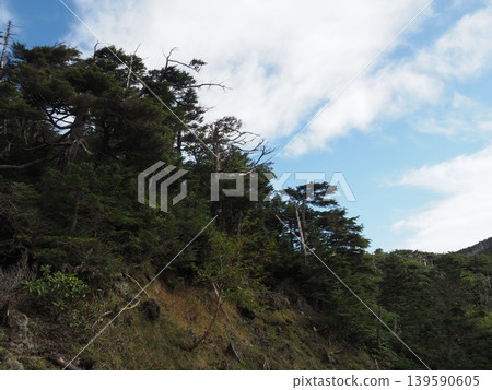Kitayokodake Mountain in late September (Chino City and Sakuho Town, Nagano Prefecture) Kitayokodake Mountain in late September (Chino City and Sakuho Town, Nagano Prefecture) 139590605