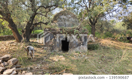 Forgotten stone temple with dome standing alone in wild forest tilla jogian pakistan Forgotten stone temple with dome standing alone in wild forest tilla jogian pakistan 139590687