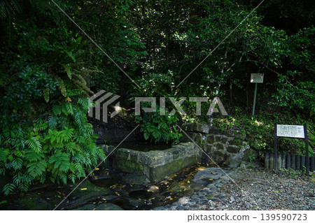 Okinawa Prefecture, Iriomote Island, Funauki, Uenuka (Winuka) 139590723