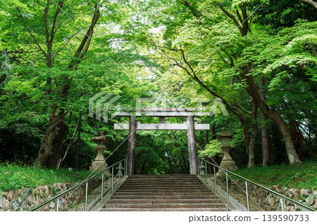 The approach to Oharano Shrine, covered in fresh greenery. The approach to Oharano Shrine, covered in fresh greenery. 139590733