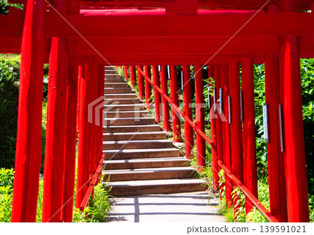 春季的元之隅神社 春季的元之隅神社 139591021