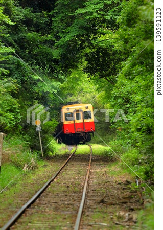 The Kominato Railway, a local line running through the fresh greenery. The Kominato Railway, a local line running through the fresh greenery. 139591123