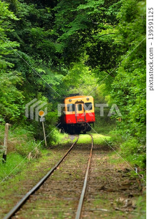 The Kominato Railway, a local line running through the fresh greenery. The Kominato Railway, a local line running through the fresh greenery. 139591125