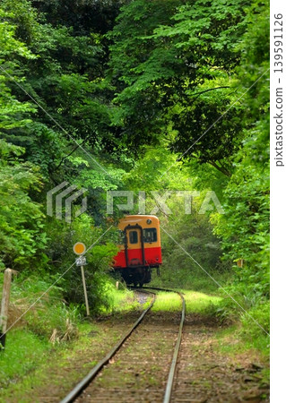 The Kominato Railway, a local line running through the fresh greenery. The Kominato Railway, a local line running through the fresh greenery. 139591126