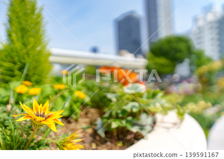 Urban landscape with garden Urban landscape with garden 139591167