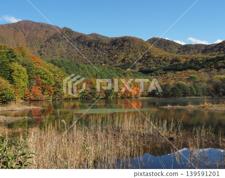 十月下旬的觀音沼森林公園(福島縣下鄉町)。 十月下旬的觀音沼森林公園(福島縣下鄉町)。 139591201