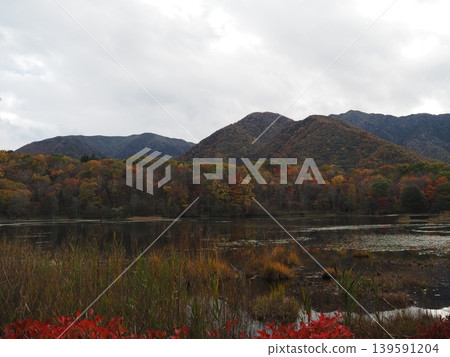 十月下旬的觀音沼森林公園(福島縣下鄉町)。 十月下旬的觀音沼森林公園(福島縣下鄉町)。 139591204