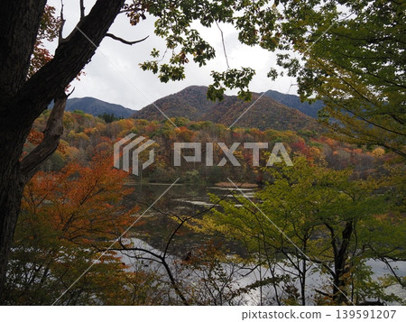 十月下旬的觀音沼森林公園(福島縣下鄉町)。 十月下旬的觀音沼森林公園(福島縣下鄉町)。 139591207
