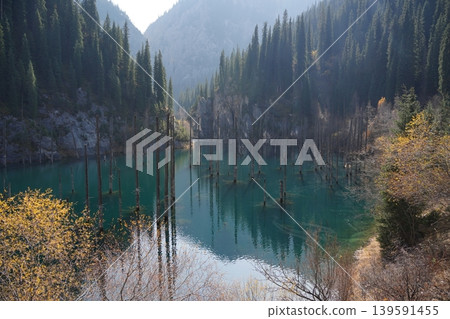 Kaindy Lake with submerged trees in Kazakhstan Kaindy Lake with submerged trees in Kazakhstan 139591455